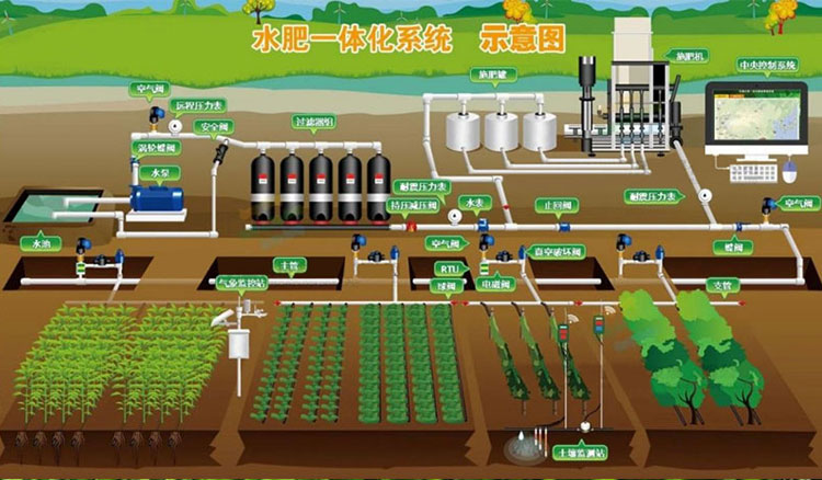 Integrated water and fertilizer planting management system