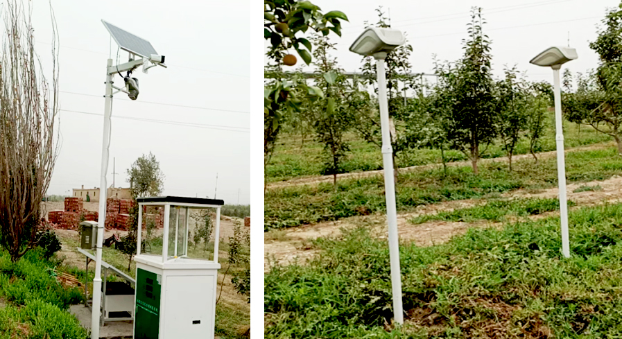 新疆香梨项目智能水肥一体化改造工程