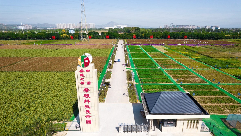 昌平区老北京水果示范基地建设项目