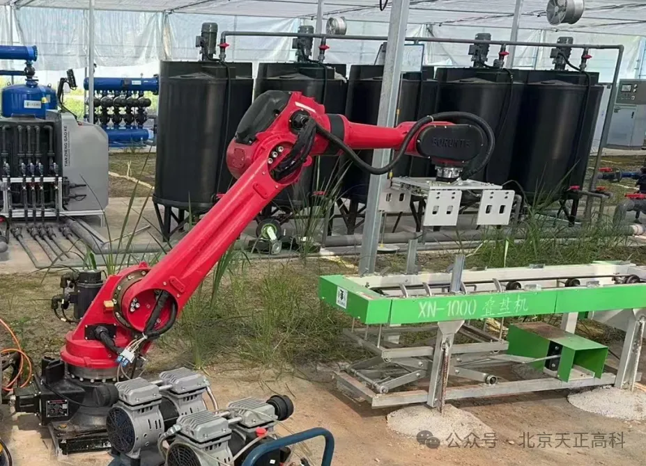 洪湖市再生稻智慧农业示范田建设项目