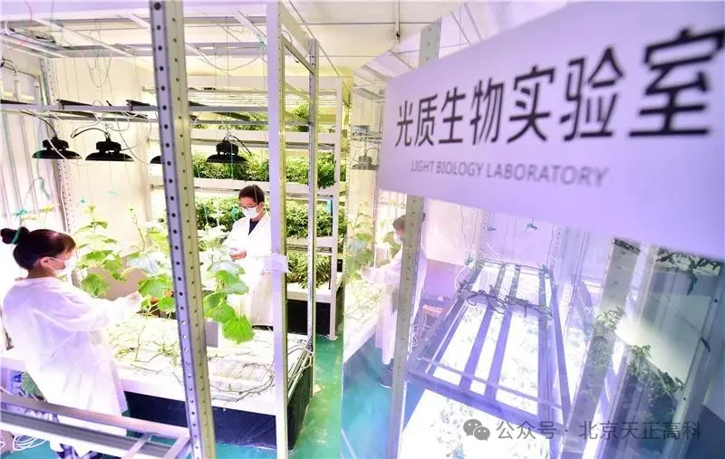 滇西应用技术大学校内智慧农业实训实验室建设项目