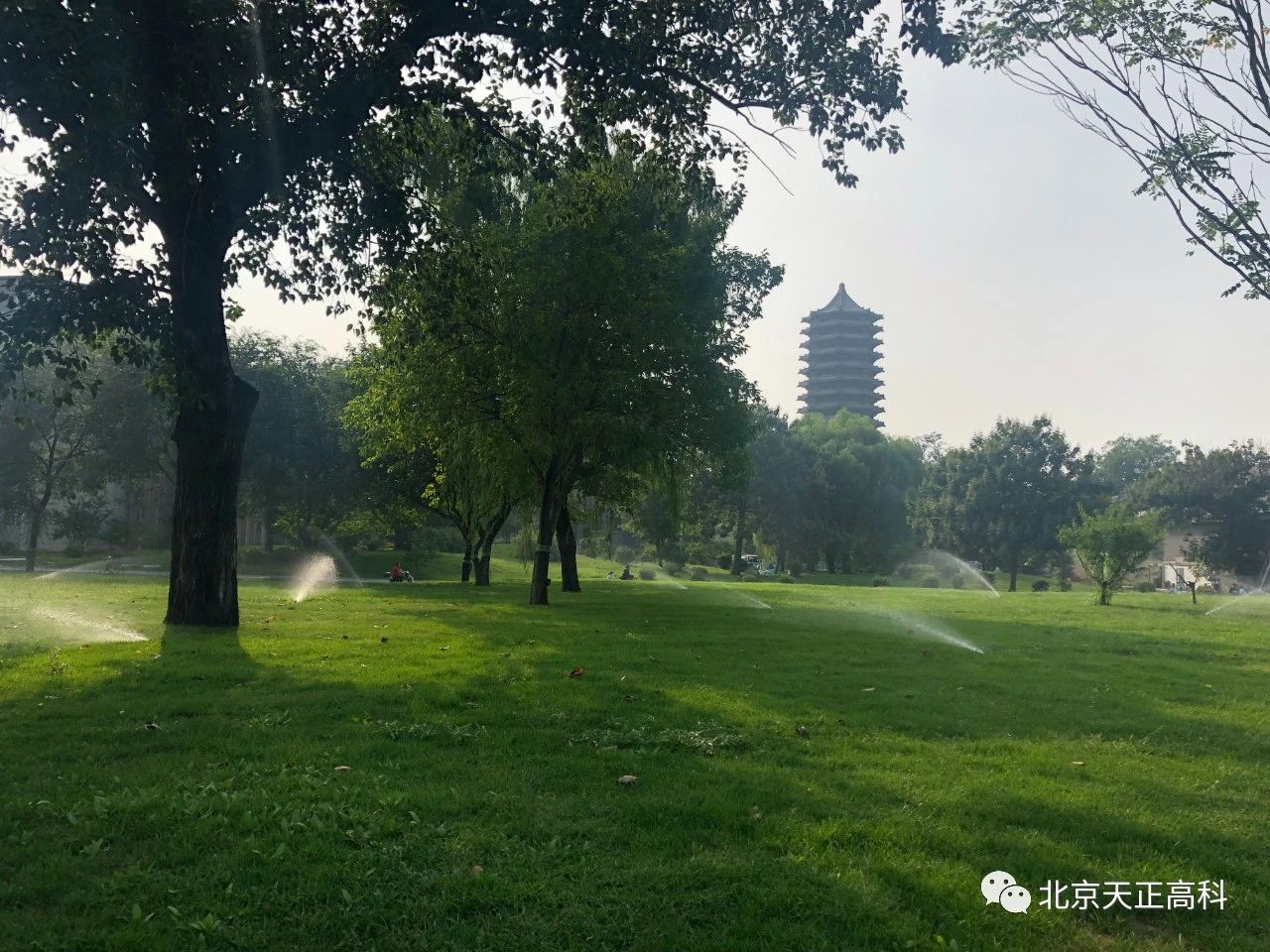 北京大学大草坪喷灌建设改造工程