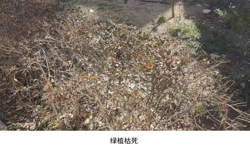 北京西城区社区绿地节水微喷改造工程