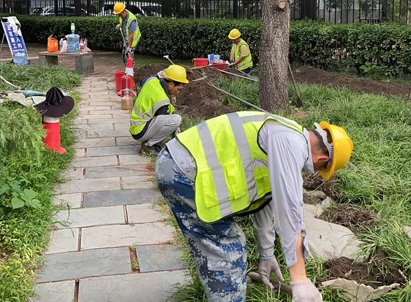 北京西城区社区绿地节水微喷改造工程